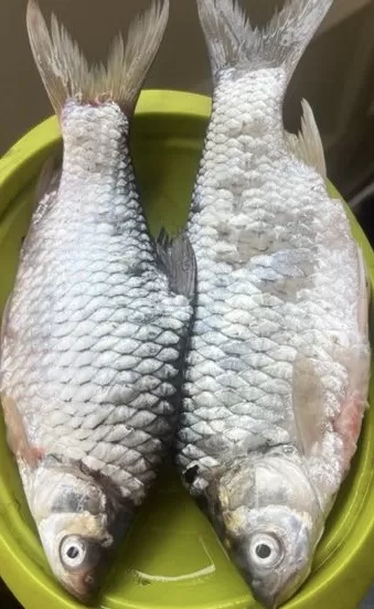 Ikan bader olah isi 2